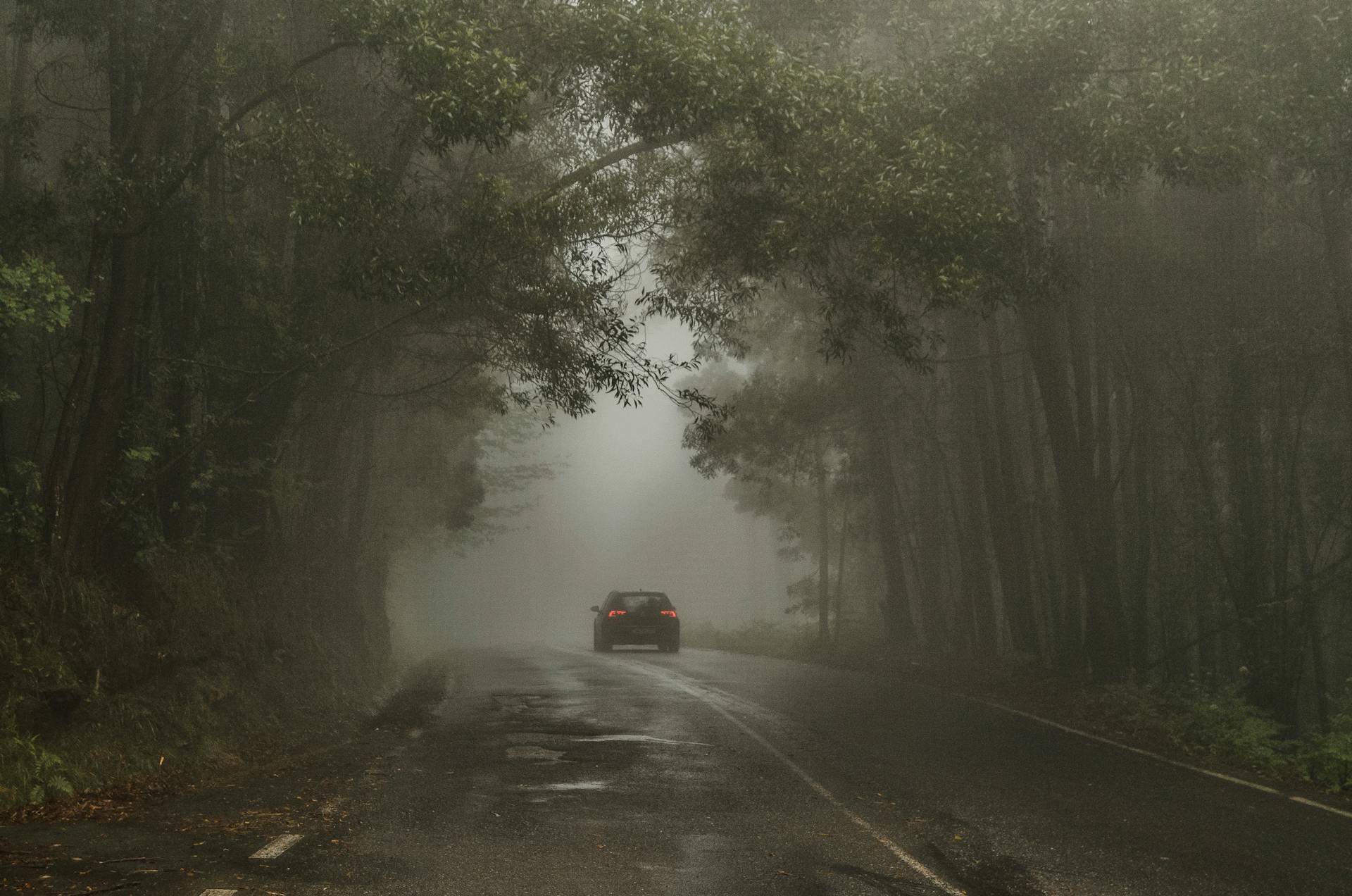 What Is Brain Fog (And How Can You Actually Fix It)?
